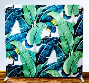 Plant-backdrop-in-San-Jose.webp